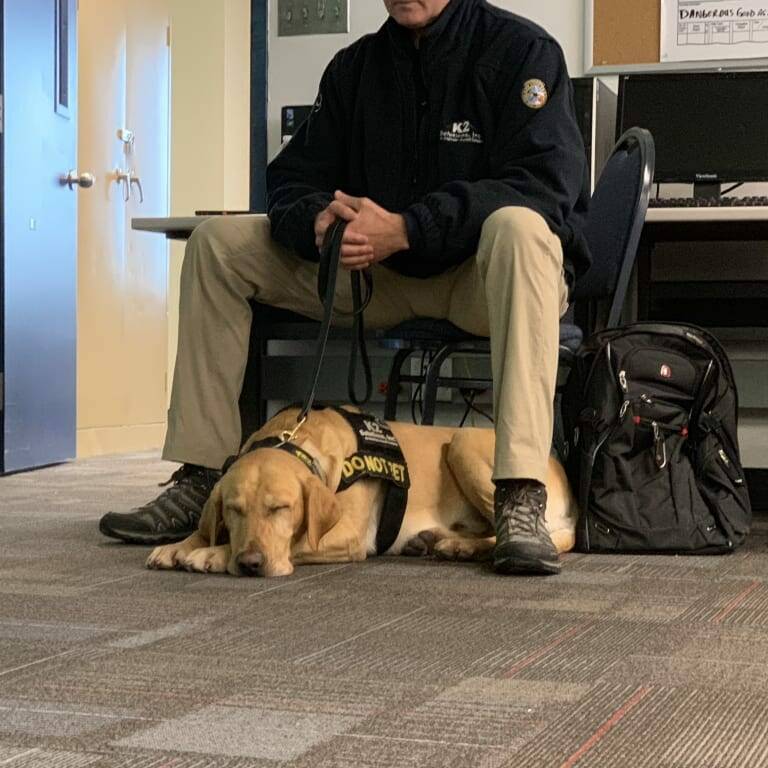 A calm dog wearing a service vest lies on the floor, resting its head on the ground. The dog is held by a leash by a seated person dressed in uniform, with a backpack near their feet. The setting appears to be indoors, possibly an office or classroom, reminiscent of the 2019 February Luncheon hosted by K2 Solutions.