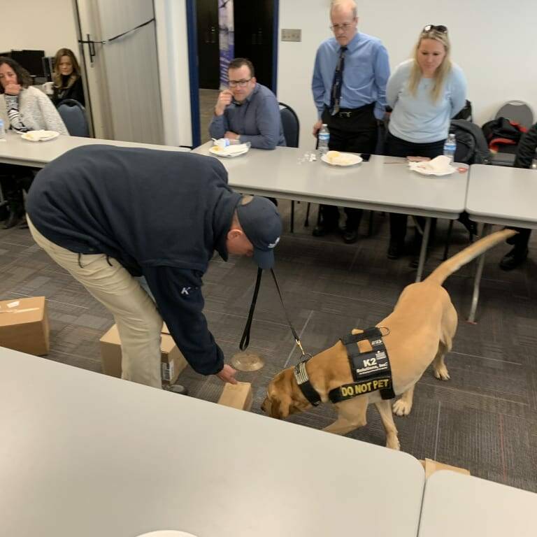 A service dog wearing a "DO NOT PET" vest is sniffing the floor while being guided by a handler in a navy blue jacket and cap. Inside the room, several people seated at tables arranged in a large square observe them during the 2019 February Luncheon hosted by K2 Solutions. Boxes are placed on the floor near the dog and handler.